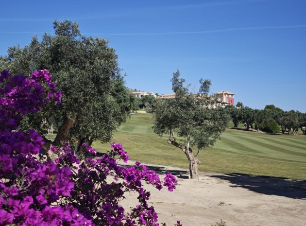 Resale - Villa - Algorfa - Algorfa Centro