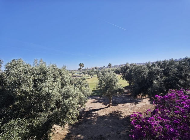 Resale - Villa - Algorfa - Algorfa Centro