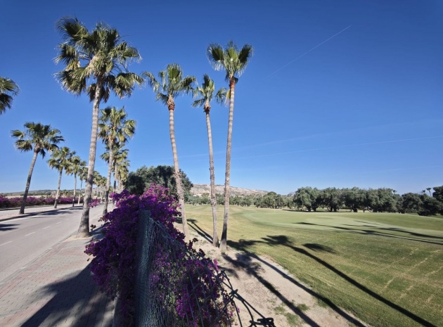 Resale - Villa - Algorfa - Algorfa Centro