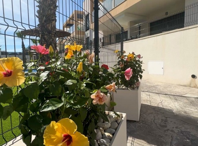Revente - Appartement - Orihuela - Villamartin