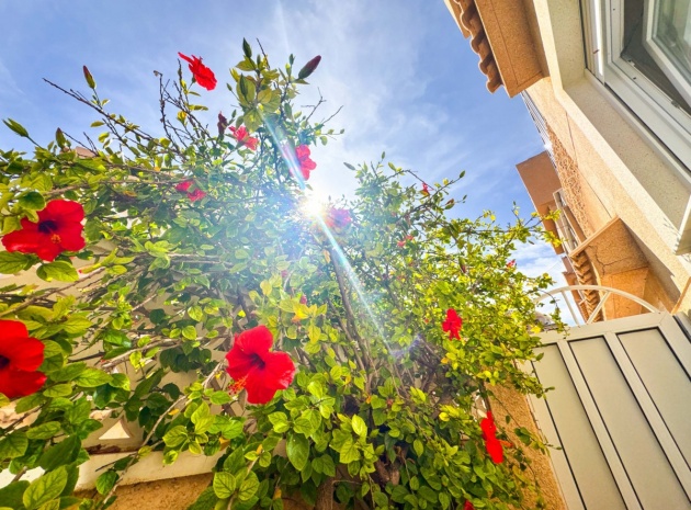 Resale - Townhouse - Torrevieja - Playa De La Mata