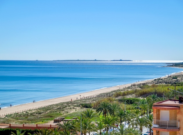 Resale - Apartment - Elche - Arenales del Sol