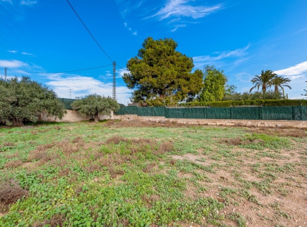 Resale - Townhouse - Elche - Elche Centro