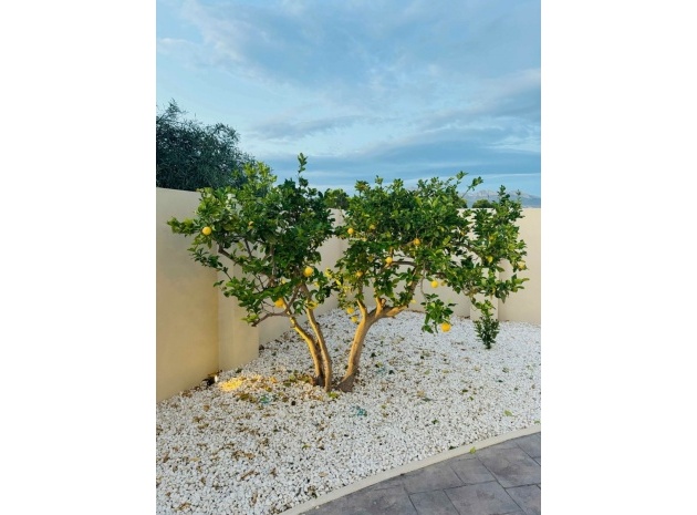 Resale - Villa - L'alfas Del Pi - L'Alfás del Pi Centro