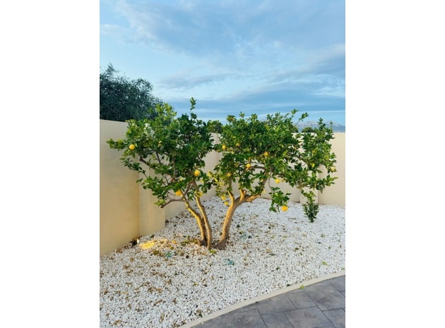 Resale - Villa - L'alfas Del Pi - L'Alfás del Pi Centro