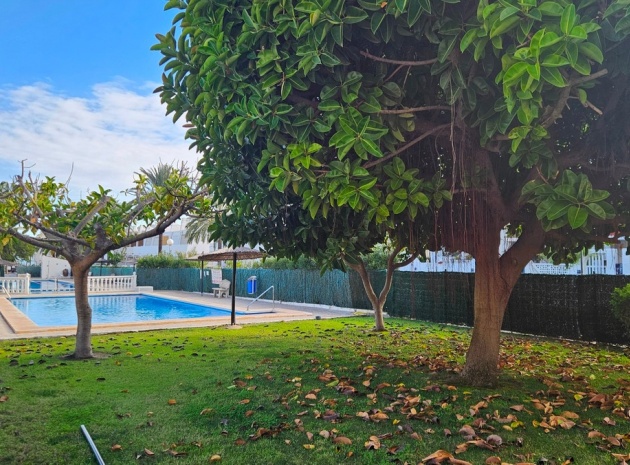 Återförsäljning - Lägenhet - Torrevieja - Torrevieja Centro