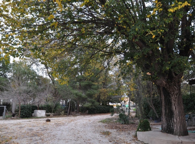 Resale - Townhouse - Pinoso - Pinoso Centro