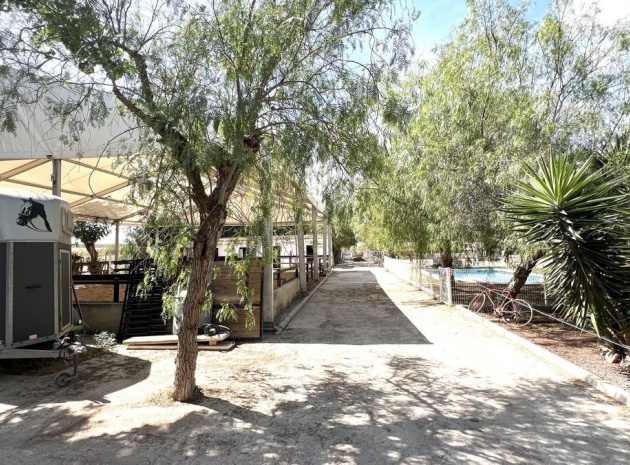 Resale - Country Property - Orihuela - Orihuela Centro