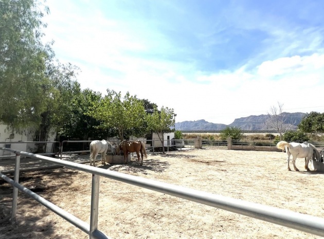 Resale - Country Property - Orihuela - Orihuela Centro