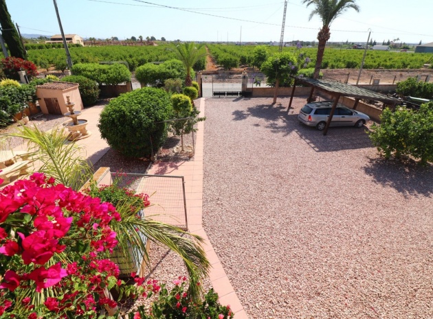 Resale - Villa - Albatera - Albatera Centro