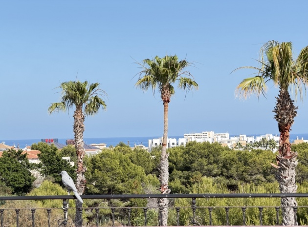 Resale - Villa - Playa Flamenca - san jose