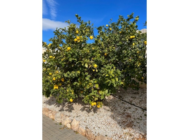 Återförsäljning - Villa - Altea - Altea Centro