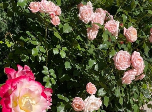 Wiederverkauf - Villa - Polop - Polop Centro