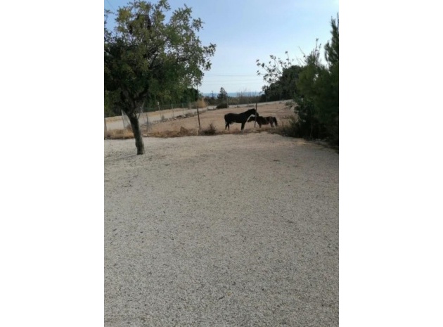 Wederverkoop - Villa - Villajoyosa - Villajoyosa Centro