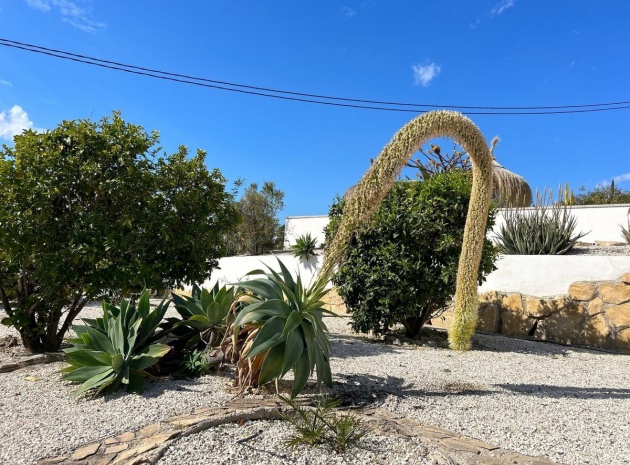 Wederverkoop - Villa - Villajoyosa - Villajoyosa Centro