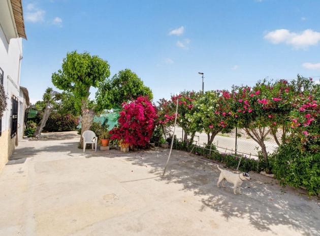 Wiederverkauf - Country Property - Orihuela - Orihuela Centro