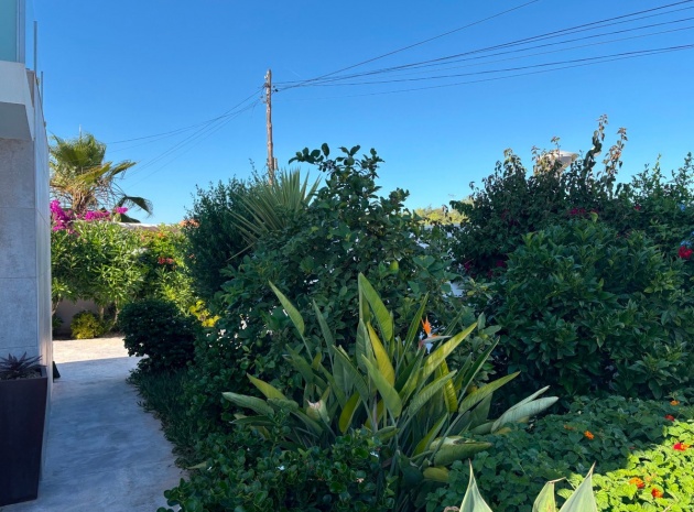 Wiederverkauf - Villa - Torrevieja - Torrevieja Centro