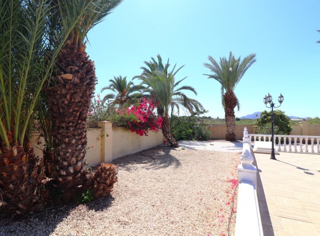 Revente - Villa - Catral - Catral Centro