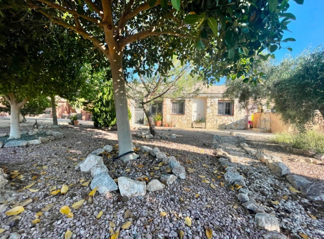 Wederverkoop - Country Property - Crevillente