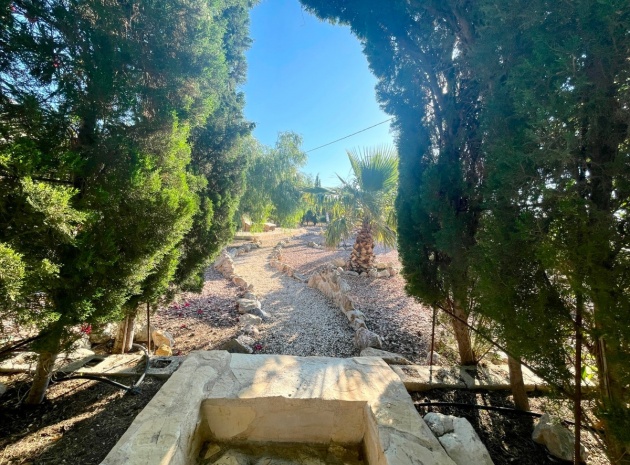 Wederverkoop - Country Property - Crevillente