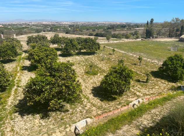 Wederverkoop - Villa - Guardamar del Segura - Guardamar del Segura Centro
