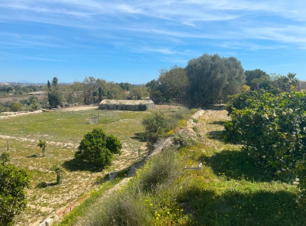 Wederverkoop - Villa - Guardamar del Segura - Guardamar del Segura Centro