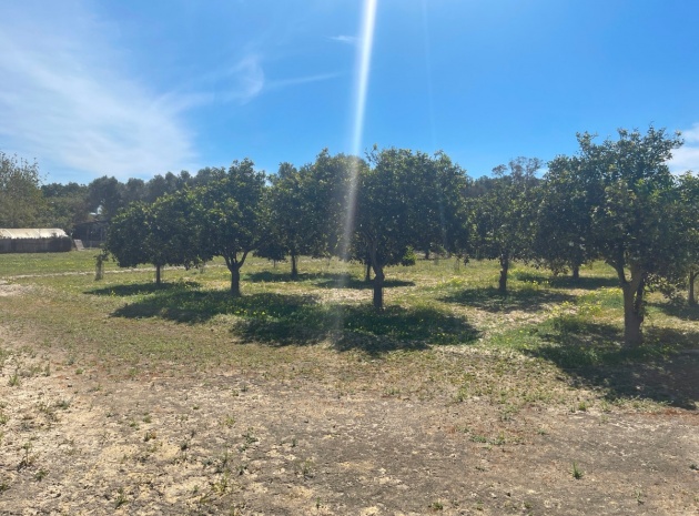 Wederverkoop - Villa - Guardamar del Segura - Guardamar del Segura Centro