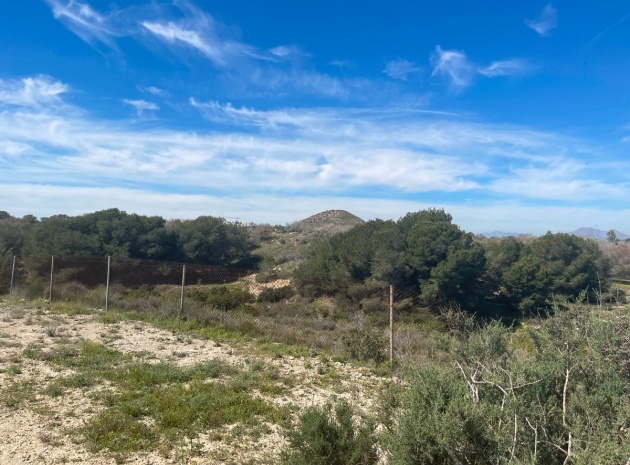 Wederverkoop - Villa - Guardamar del Segura - Guardamar del Segura Centro