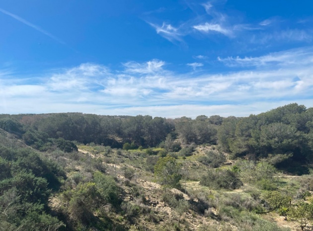 Wederverkoop - Villa - Guardamar del Segura - Guardamar del Segura Centro
