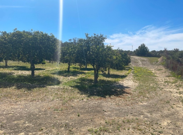 Wederverkoop - Villa - Guardamar del Segura - Guardamar del Segura Centro