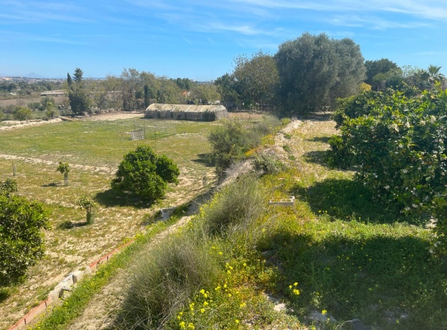 Wederverkoop - Villa - Guardamar del Segura - Guardamar del Segura Centro