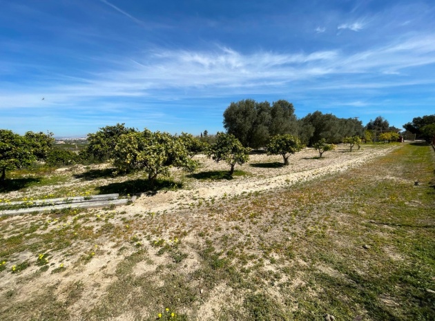 Wederverkoop - Villa - Guardamar del Segura - Guardamar del Segura Centro