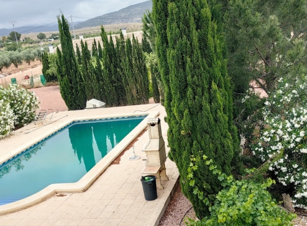 Wiederverkauf - Villa - Pinoso - Pinoso Centro