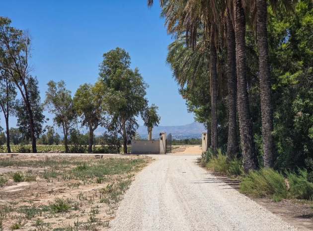 Wiederverkauf - Villa - Elche - Elche Centro