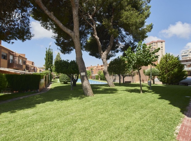 Wiederverkauf - Wohnung - Alicante - Alicante City Centro