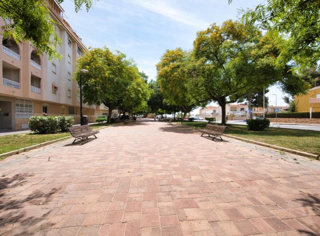 Resale - Apartment - Torrevieja - Beachside Torrevieja