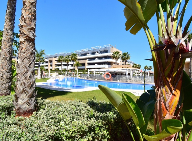 Revente - Appartement - Playa Flamenca - Res. Flamenca Village