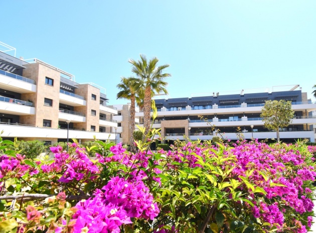 Revente - Appartement - Playa Flamenca - Res. Flamenca Village