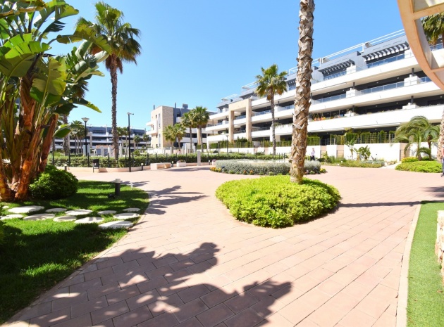 Revente - Appartement - Playa Flamenca - Res. Flamenca Village