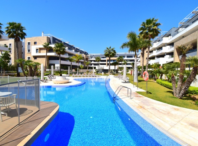 Revente - Appartement - Playa Flamenca - Res. Flamenca Village