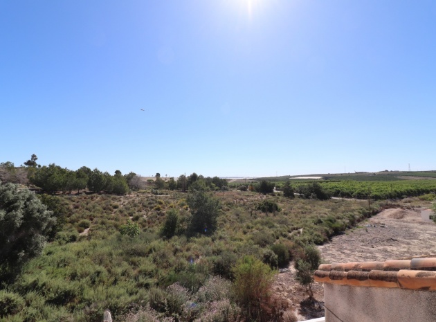 Återförsäljning - Villa - San Miguel de Salinas - Lake View Mansions