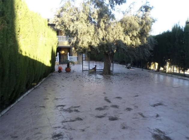 Wiederverkauf - Stadthaus - Orihuela - Orihuela Centro