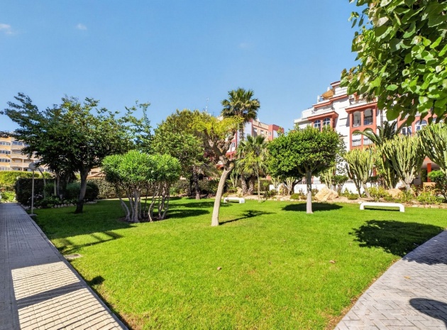 Wiederverkauf - Wohnung - Torrevieja - La Mata