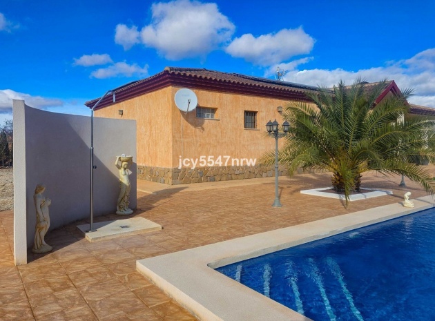 Wiederverkauf - Villa - Pinoso - Pinoso Centro
