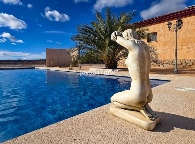 Wiederverkauf - Villa - Pinoso - Pinoso Centro