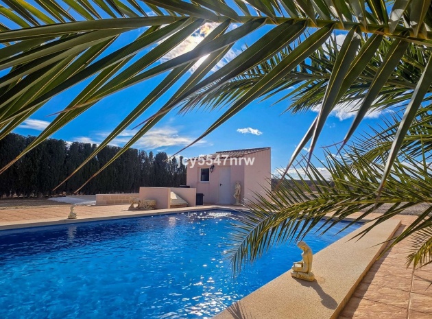 Wiederverkauf - Villa - Pinoso - Pinoso Centro