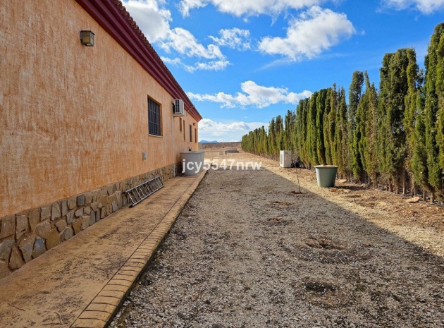 Wiederverkauf - Villa - Pinoso - Pinoso Centro