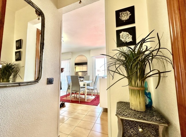 Wiederverkauf - Wohnung - Torrevieja - Torrevieja Centro