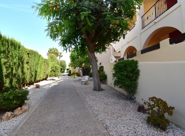 Resale - Apartment - Playa Flamenca - jumilla
