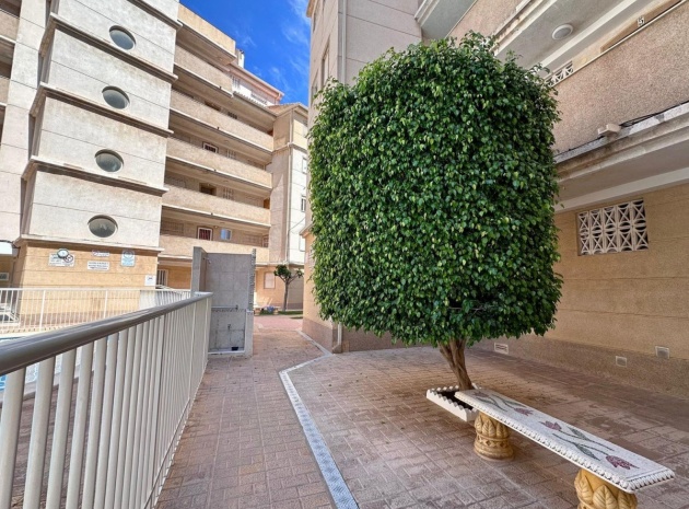 Wiederverkauf - Wohnung - Torrevieja - Torrevieja Centro